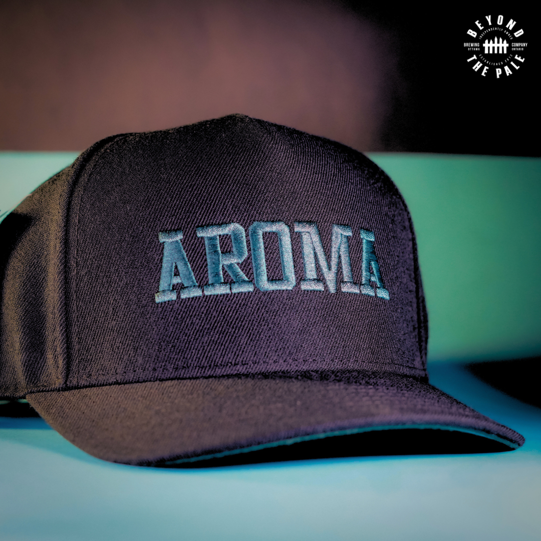 Beyond the Pale Snapbacks - AROMA