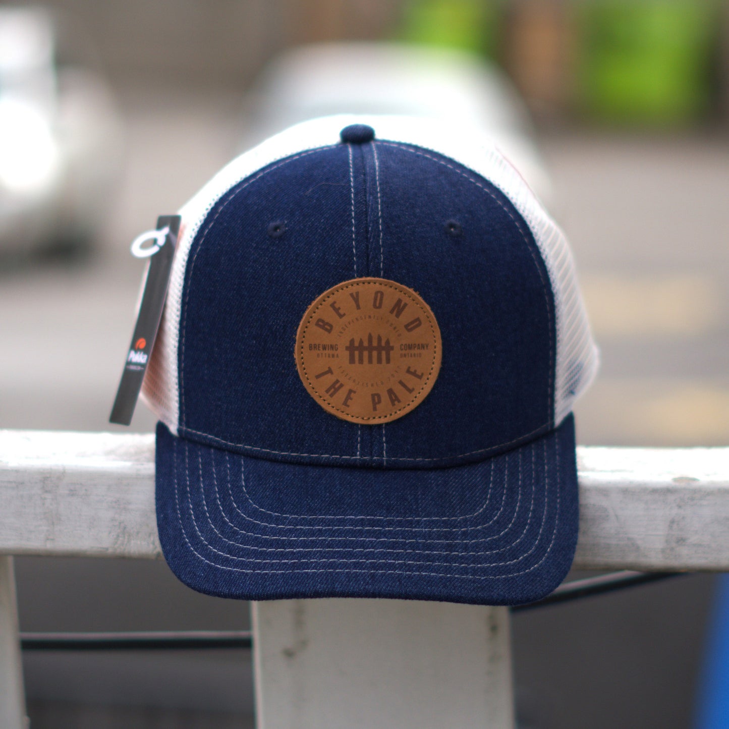 Beyond the Pale Snapbacks