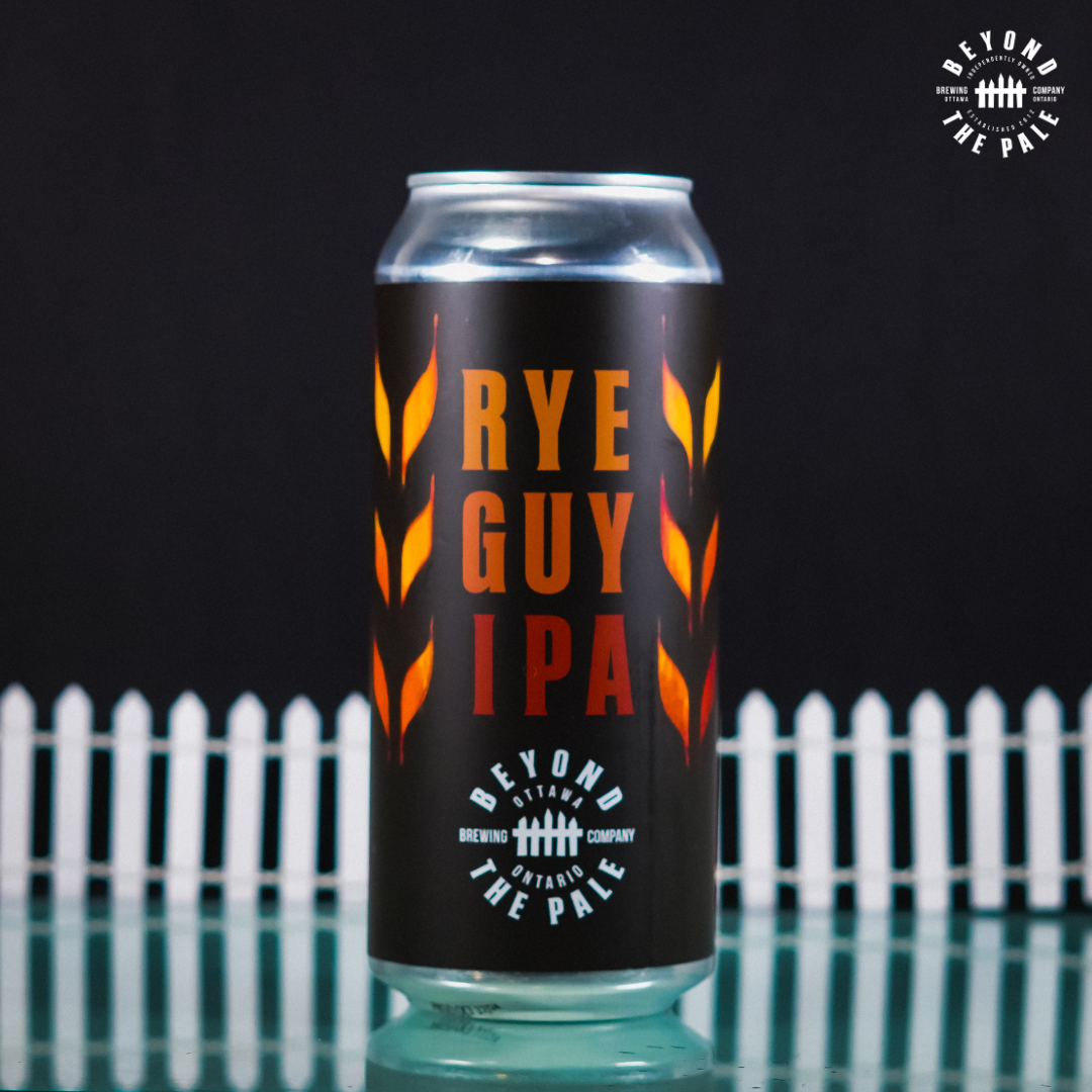 HOPTASTIC VOYAGE - 6 Pack IPA Bundle