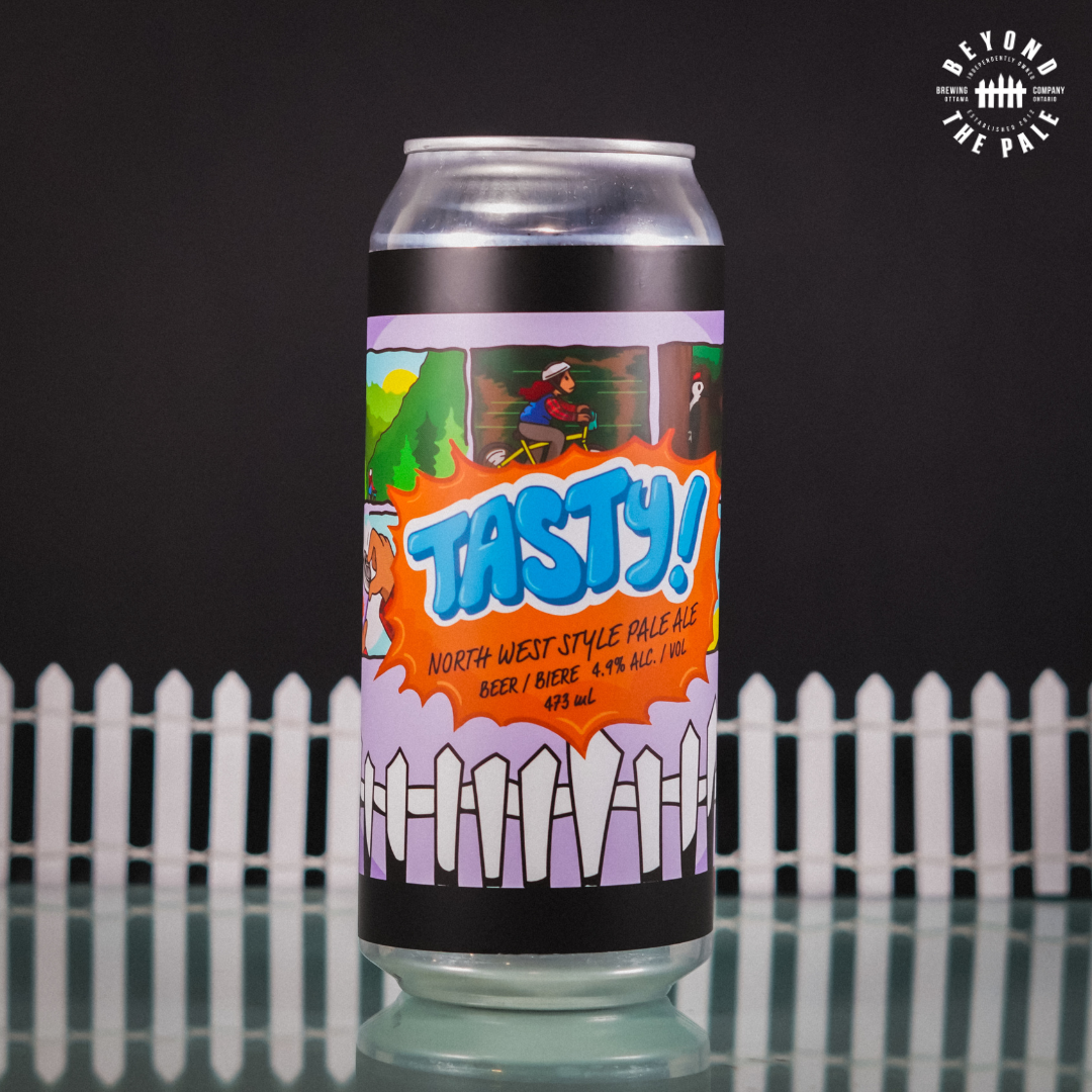 HOPTASTIC VOYAGE - 6 Pack IPA Bundle