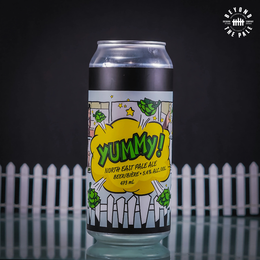HOPTASTIC VOYAGE - 6 Pack IPA Bundle