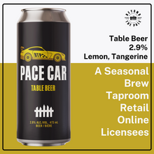 Load image into Gallery viewer, Beyond the Pale - Flash Series Pace Car
