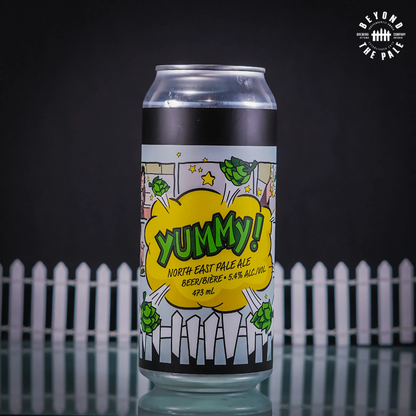HOPTASTIC VOYAGE - 6 Pack IPA Bundle